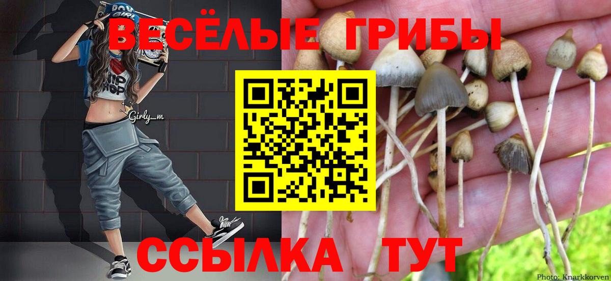 Галлюциногенные грибы прущие грибы  Вход с VPN  купить закладку  Красногорск 